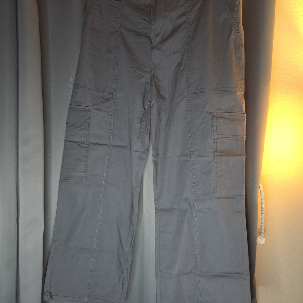 Sanctuary Gray Cargo Pants